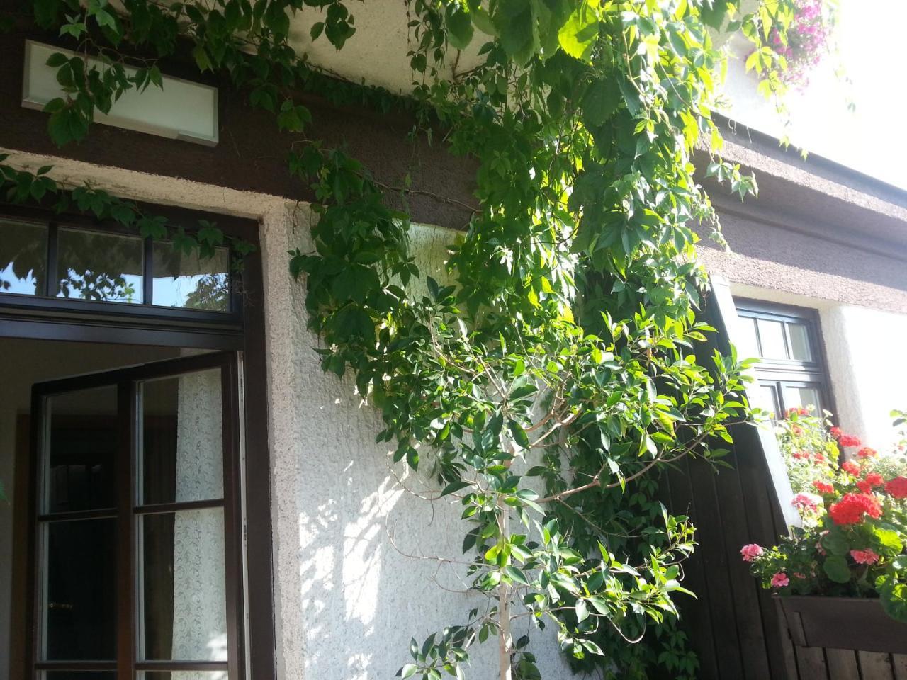 Antik Hotel Sofia Litomysl Luaran gambar
