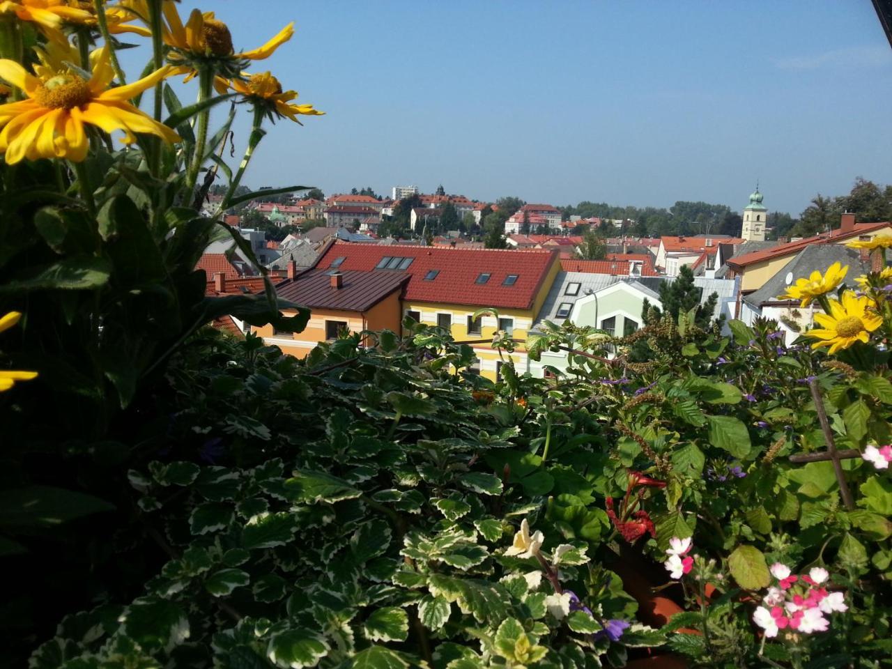 Antik Hotel Sofia Litomysl Luaran gambar