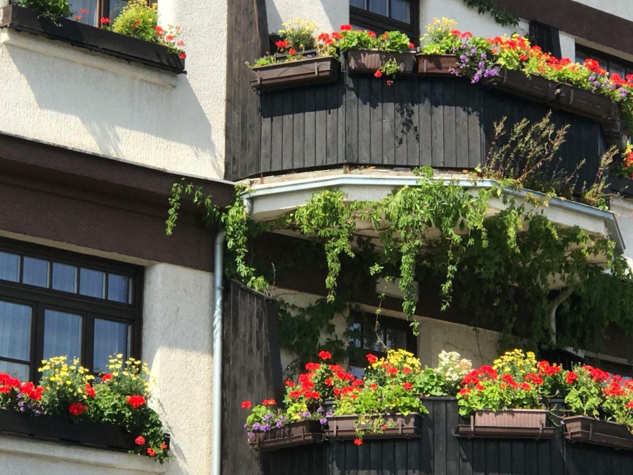 Antik Hotel Sofia Litomysl Luaran gambar
